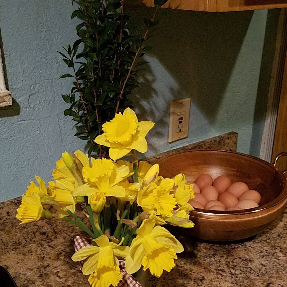 Meet your Posher, Elsy